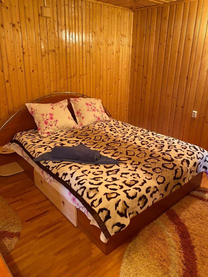הוילה Dragoslavele Casa Alesi מראה חיצוני תמונה