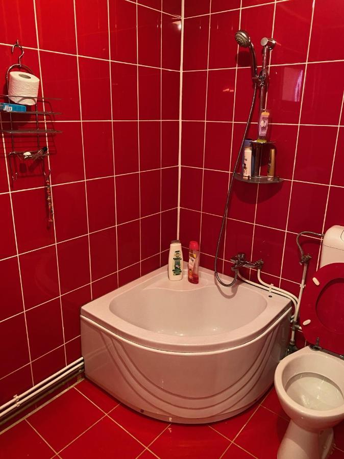 הוילה Dragoslavele Casa Alesi מראה חיצוני תמונה