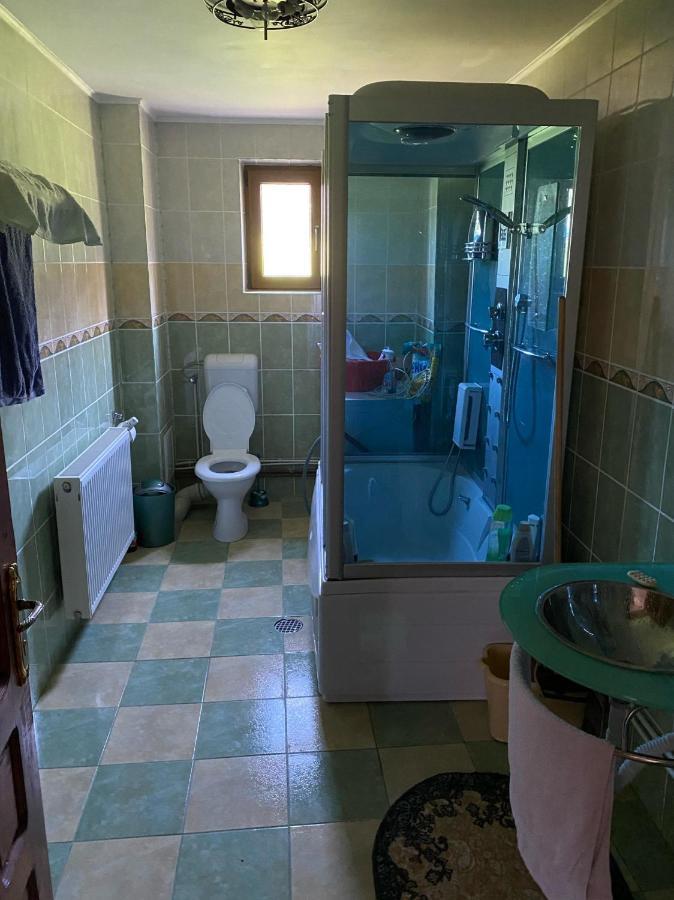 הוילה Dragoslavele Casa Alesi מראה חיצוני תמונה