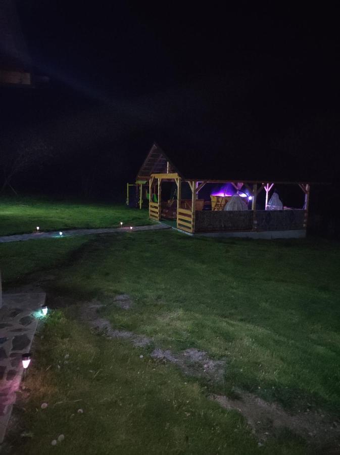 הוילה Dragoslavele Casa Alesi מראה חיצוני תמונה