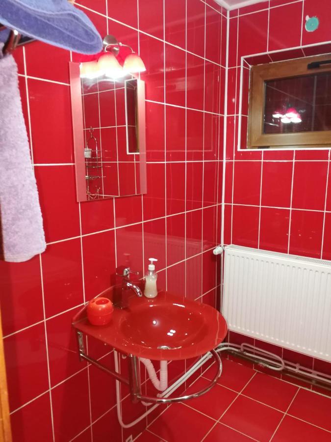 הוילה Dragoslavele Casa Alesi מראה חיצוני תמונה